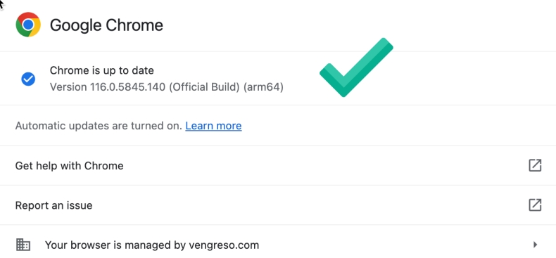 Google 下载：如何避免下载谷歌浏览器时出现的常见问题
